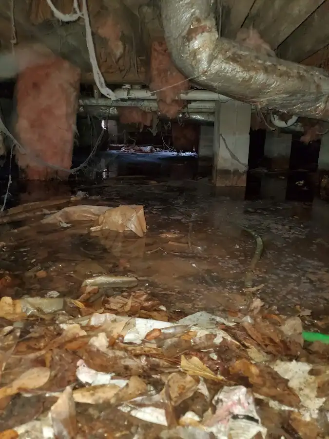 Crawl space flood assessment for Leak Detection & Repair in Moraine